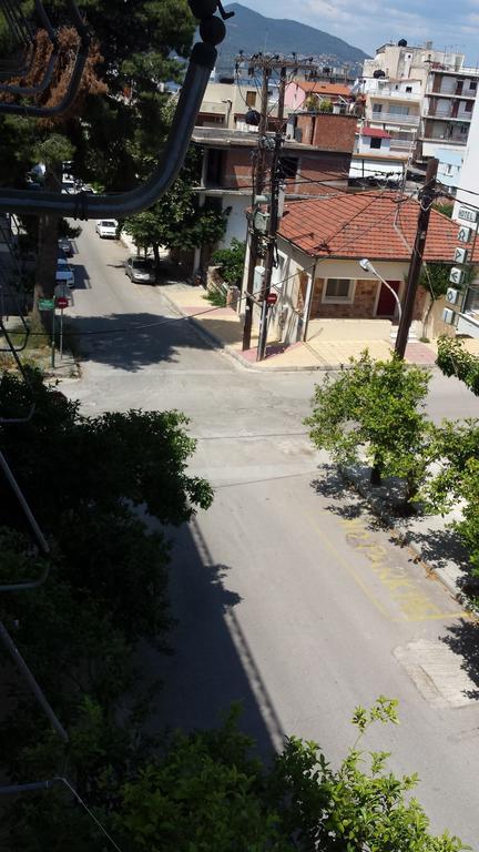 Dimitra Hotel Loutra Edipsou  Room photo
